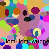 lomi lomi wuppertal