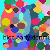 bloc party dortmund