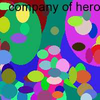 company of hero systemabsturz